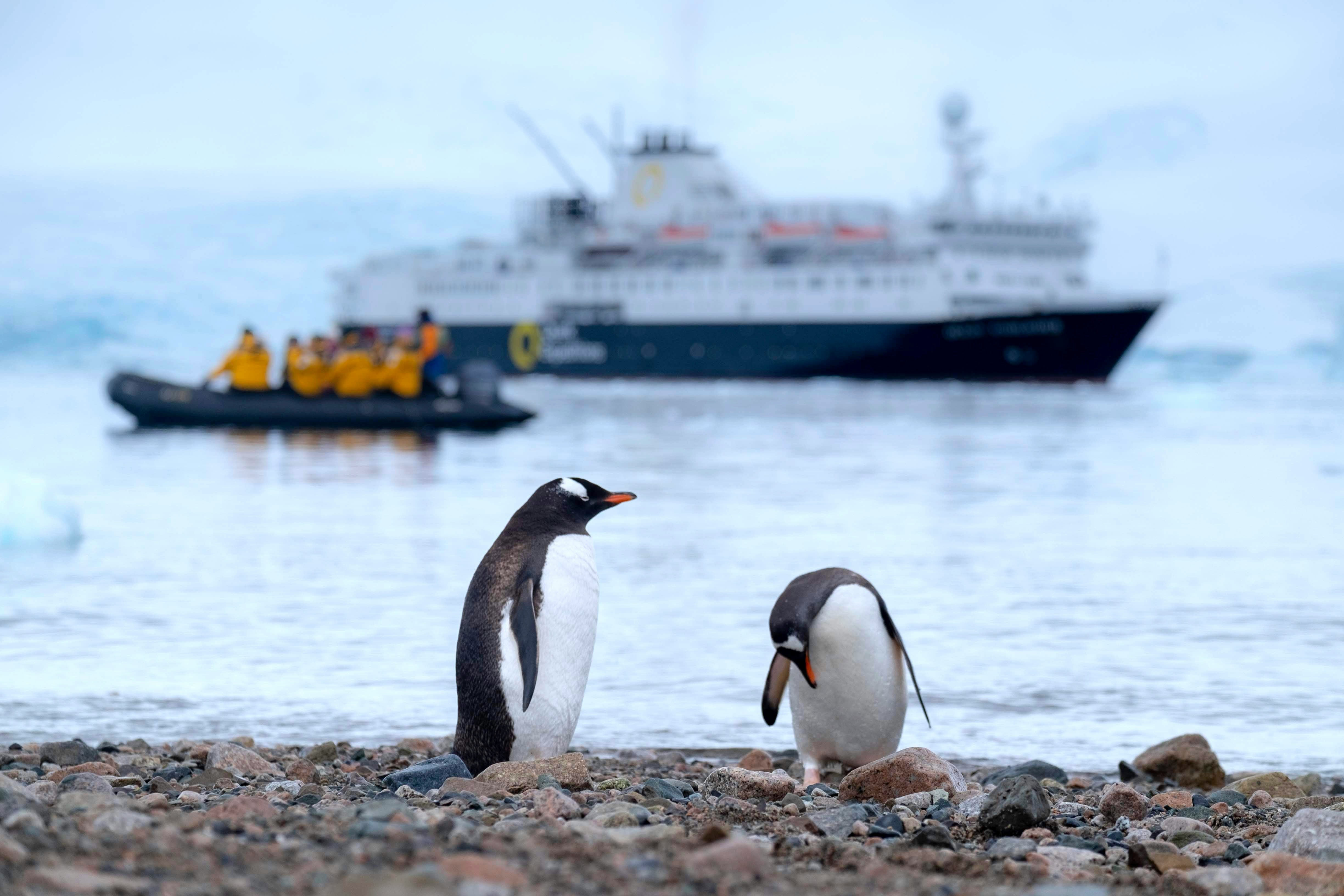 Penguins on a pebbled shore with an expedition ship and zodiac behind